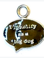 I identify Charm